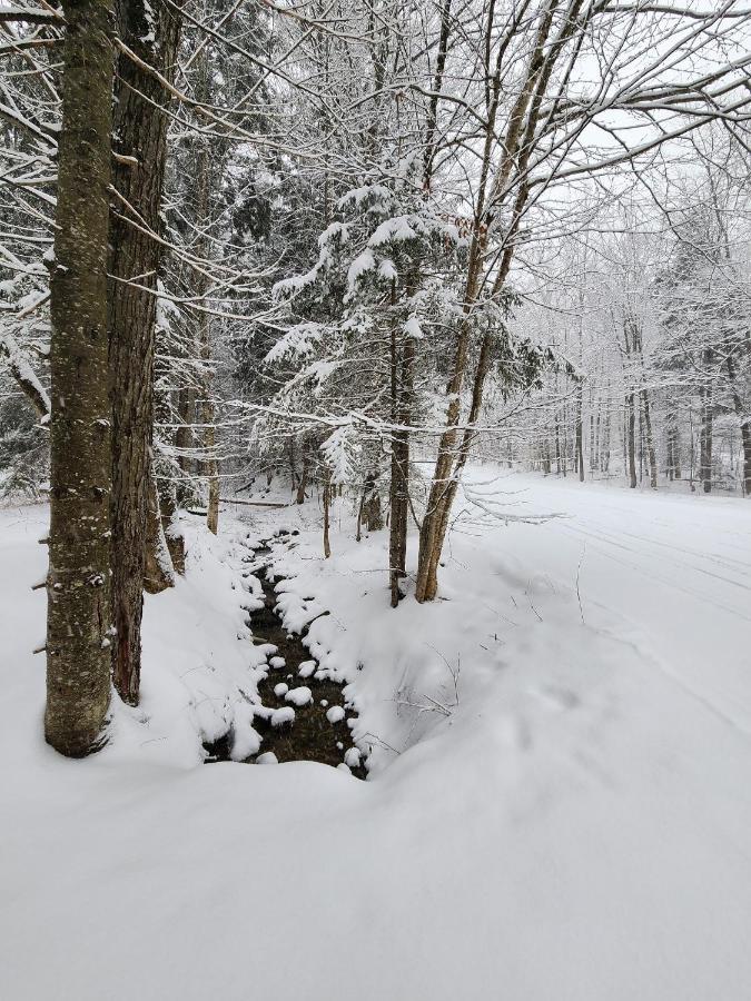 Ski In/Out Spruce Glen Townhomes On Great Eastern Trail Killington Zewnętrze zdjęcie